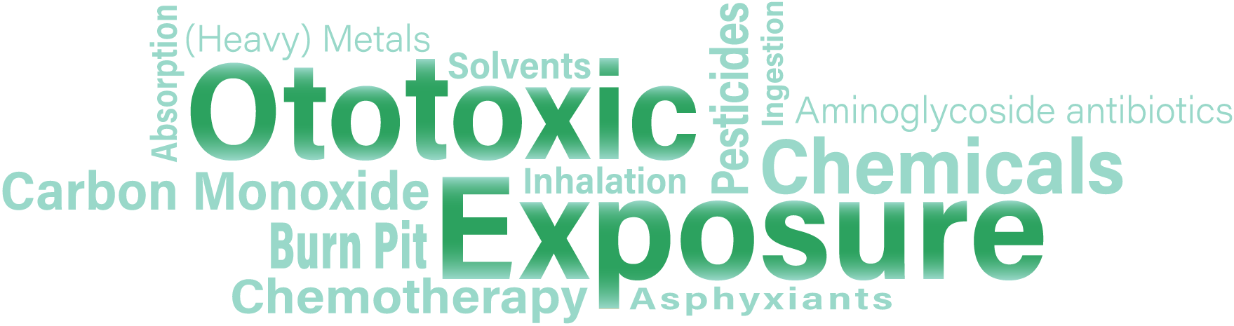 Ototoxic Exposure